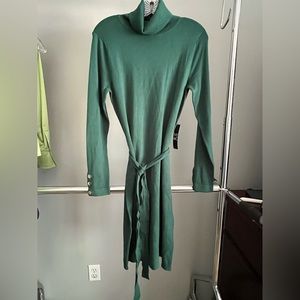 New York and Company 7th Avenue Design Company. Pretty green sweater dress.  NWT